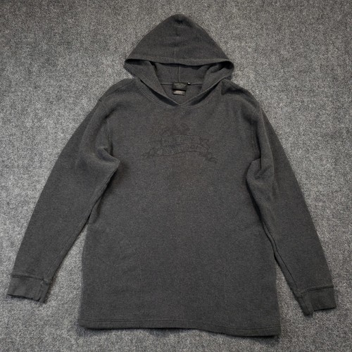 Harley davidson hoodie mens - davidson,