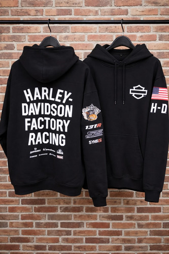 Harley motorcycle racing - motorcycle,